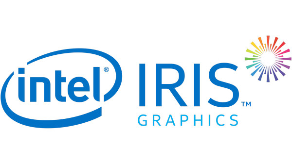 Intel® Iris® Xe MAX Dedicated Graphics Drivers v.27.20.100.9039  Windows 10 64 bits