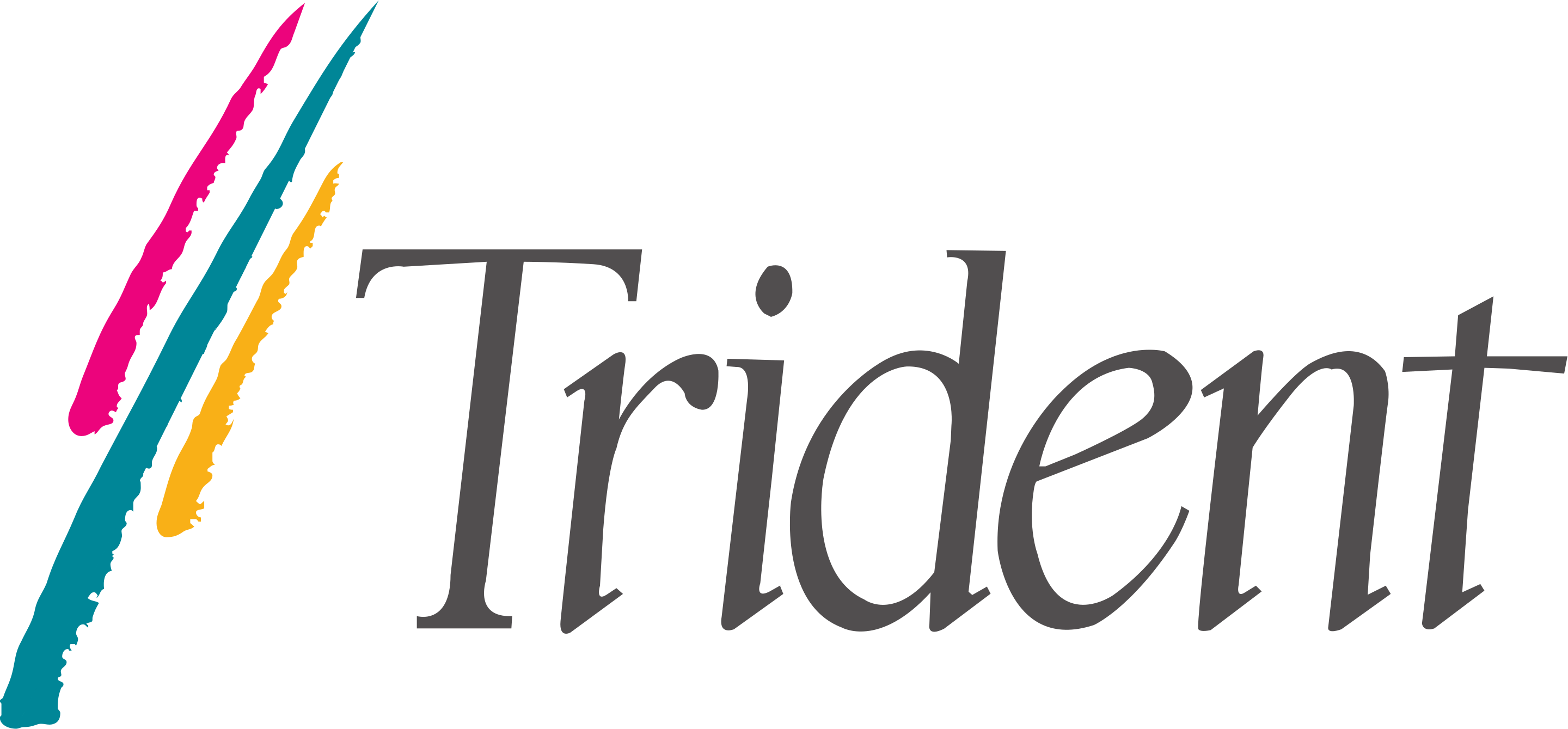 Trident Video Accelerator CyberBlade-XP2